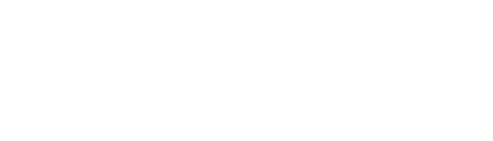 Levantar Consult
